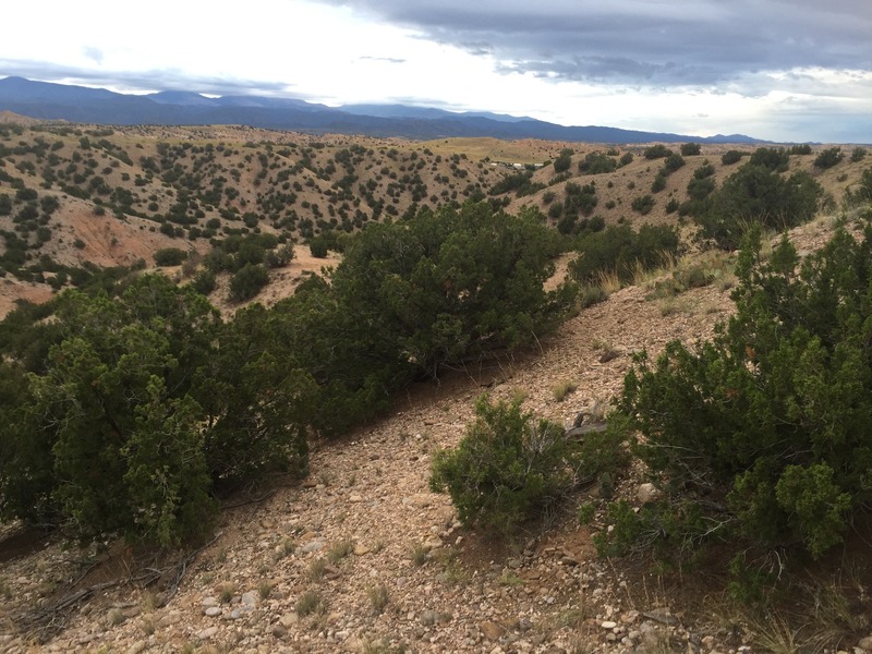 Looking southeast with the confluence of 36 North 106 West in the foreground, just left of the juniper.