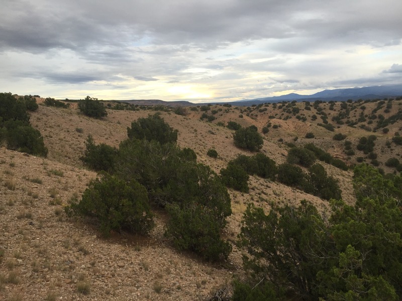 View to the east from the confluence. 