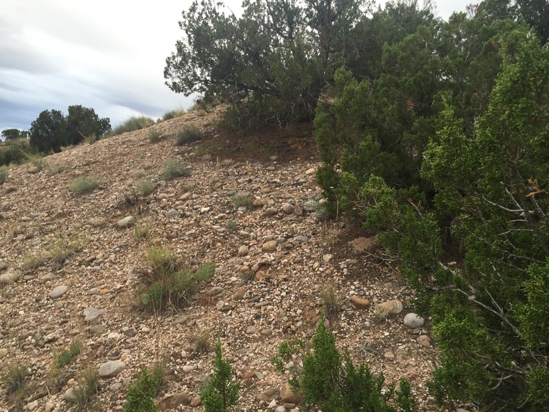 View to the west from the confluence. 