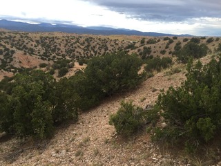 #1: Looking southeast with the confluence of 36 North 106 West in the foreground, just left of the juniper.