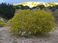 #8: Beautiful desert landscape, hiking out from the confluence area, about 500 meters southeast of the confluence.  