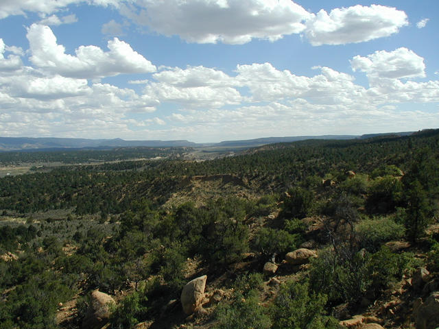 View South along Rio Puerco