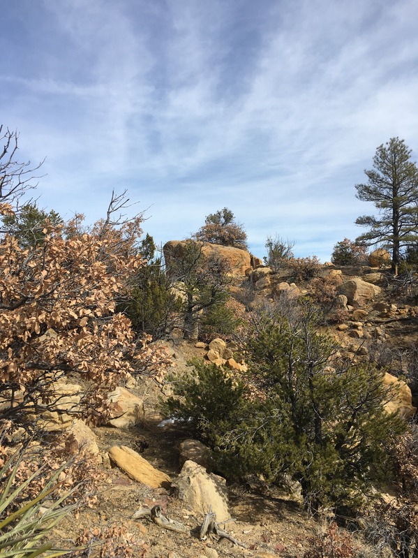 North view from the point