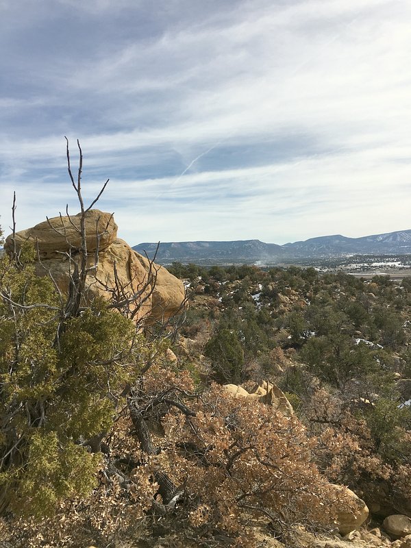 East view from the point