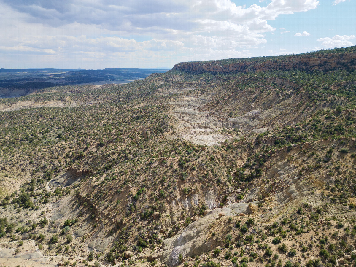 View South, from 120m above the point