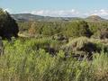 #8: View to the northeast from the state line, 100 meters southeast of the confluence.