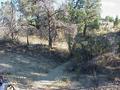 #9: View to the south from the confluence, toward the New Mexico border.