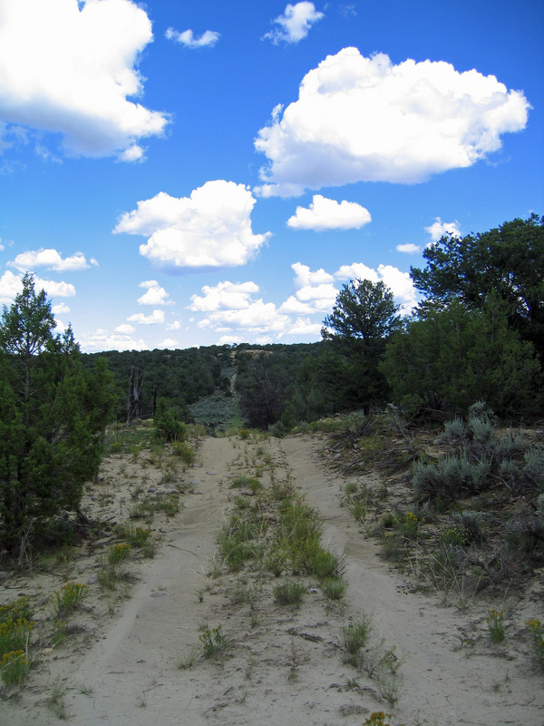 Border Road Looking East