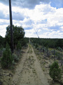 #7: Border Road Looking West