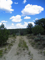 #8: Border Road Looking East