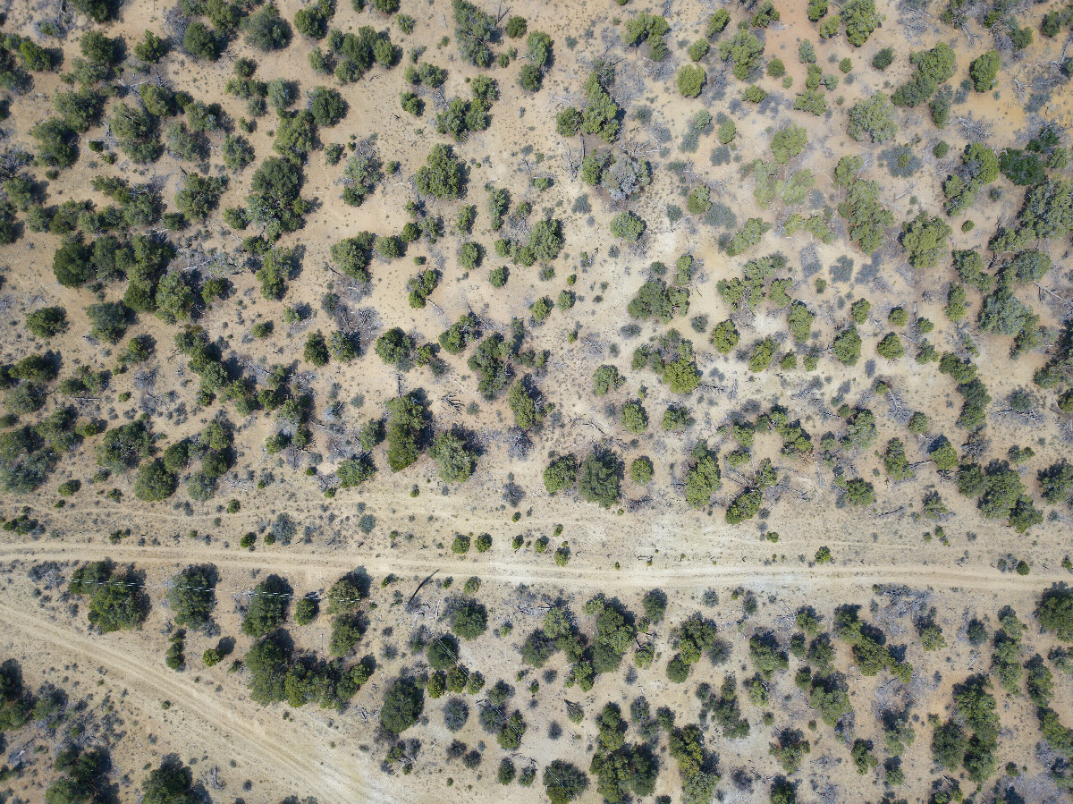 Looking down on the point from a height of 120m.  (The doubletrack road marks the boundary between Colorado (top) and New Mexico (bottom).)