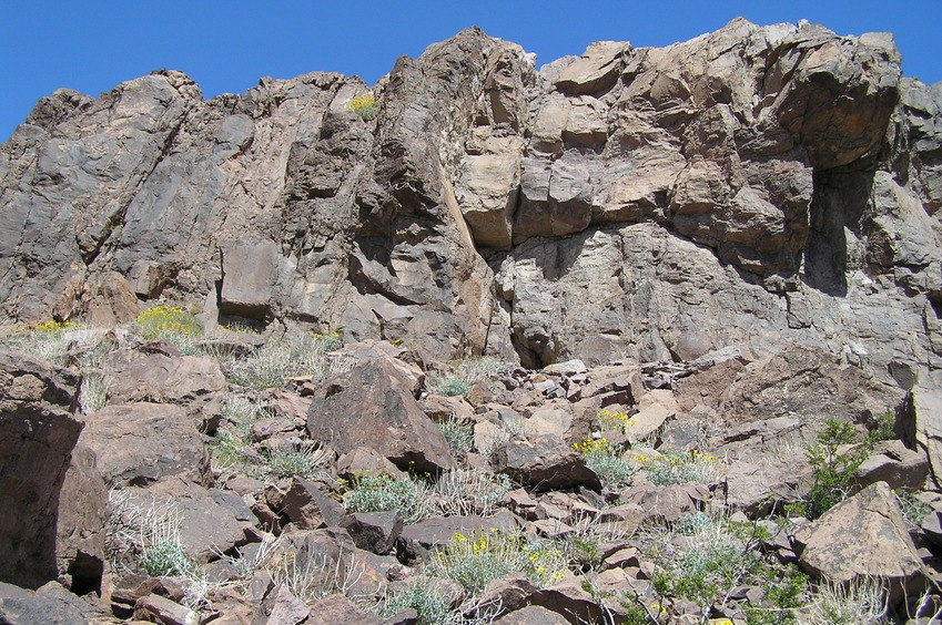 View to the north from the confluence.