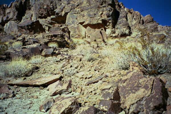 Another view from the confluence point, this time looking up the rocky hill.