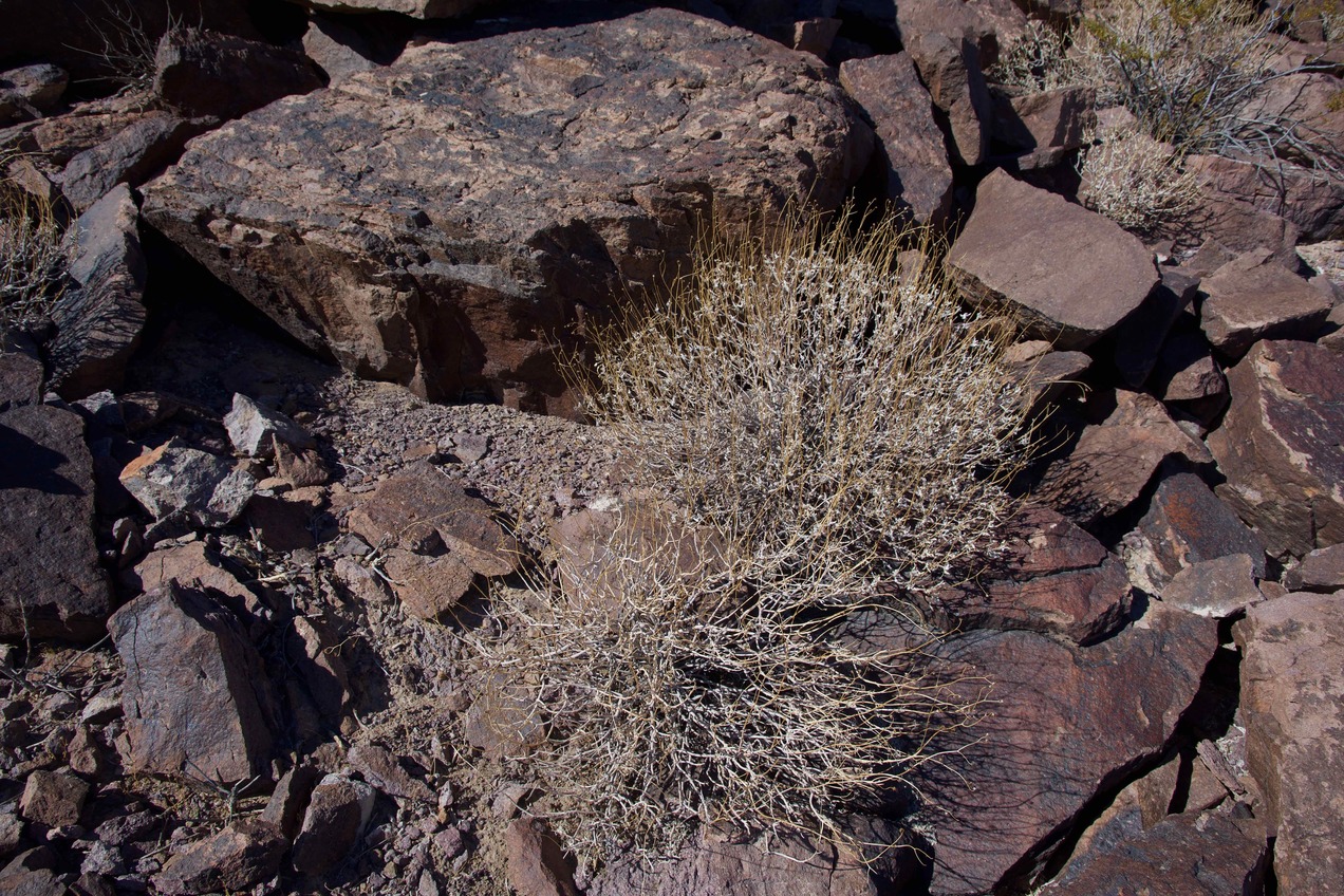 The confluence point lies on the side of a steep rocky hillside