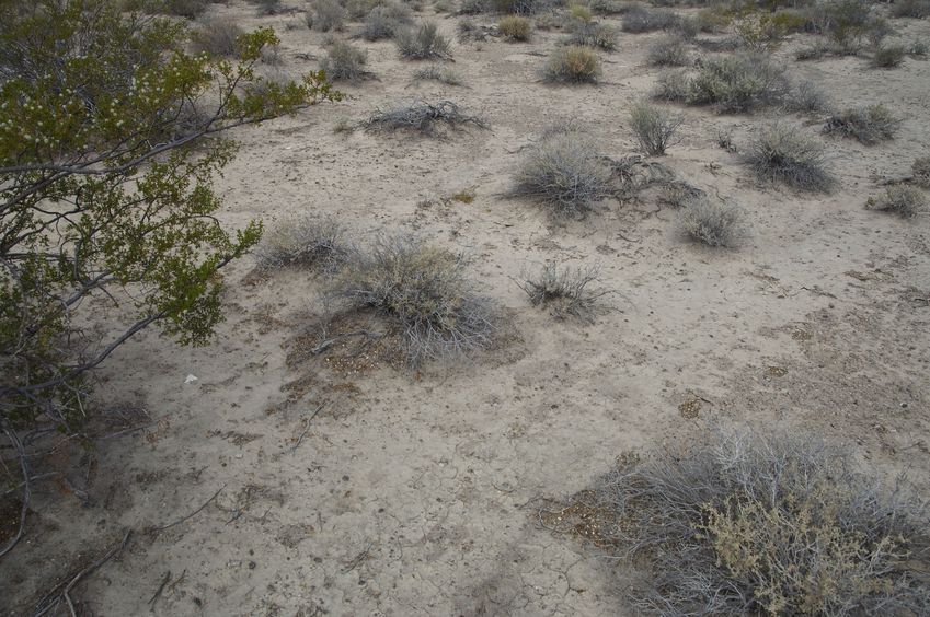 The confluence point.  If this is Nevada, there must be sagebrush!