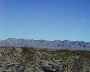 #1: looking east - see the moon?