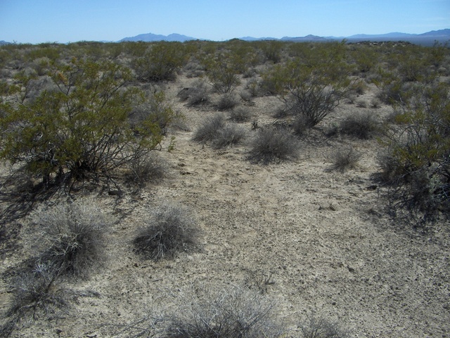 Confluence is in the center of this photo