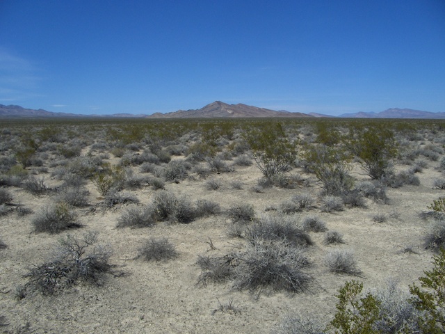 North towards Coyote Spring Valley