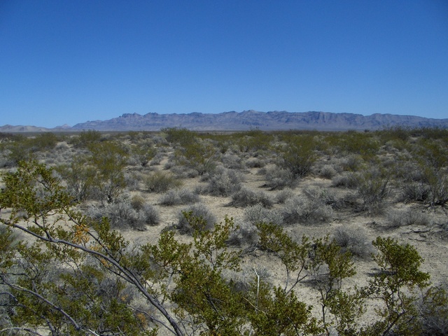 East towards Hwy 93 and Meadow Valley Mountains