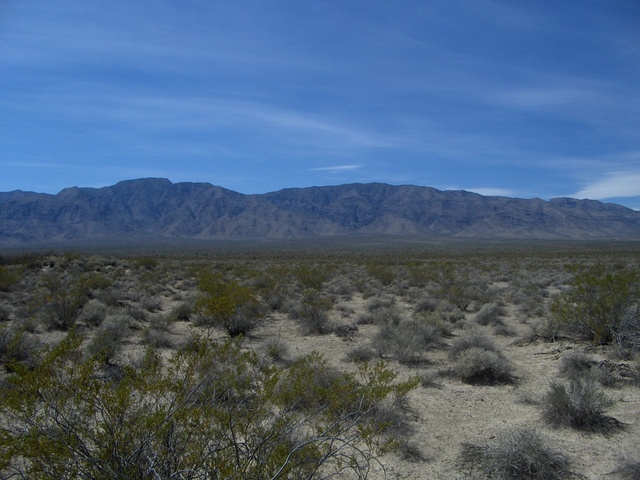 West to the Sheep Range Mountains