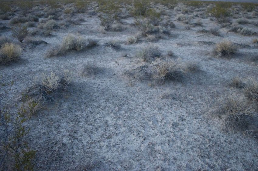 The confluence point sits in sandy soil, among sagebrush