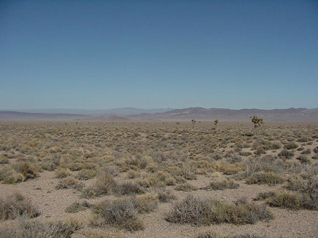 Looking East to Pahute Mesa