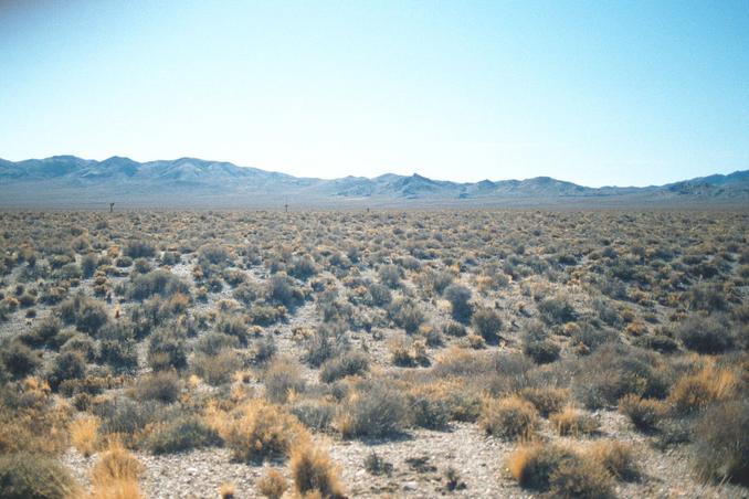 View south back toward where we had camped.