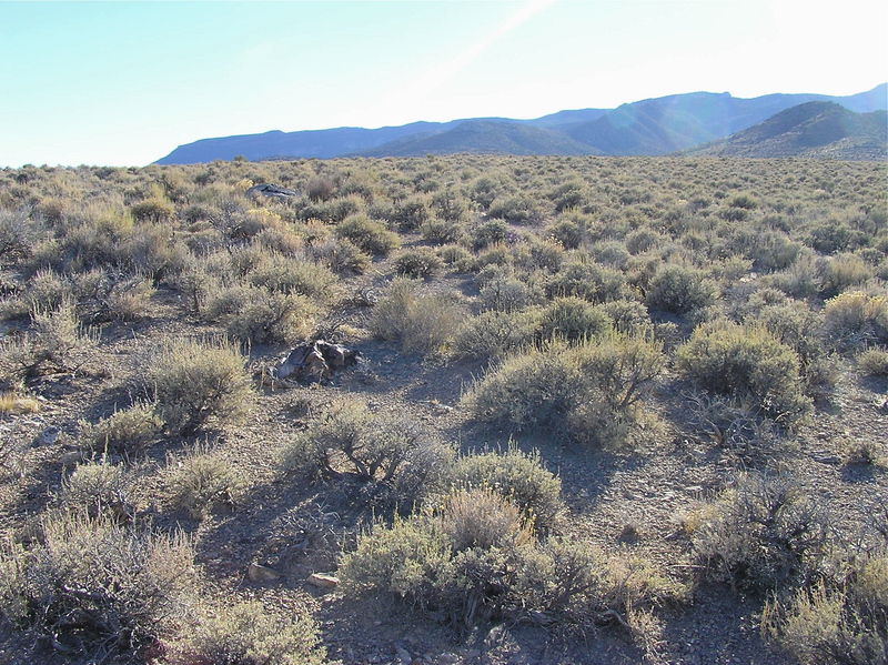 View West (towards the Seaman Range)