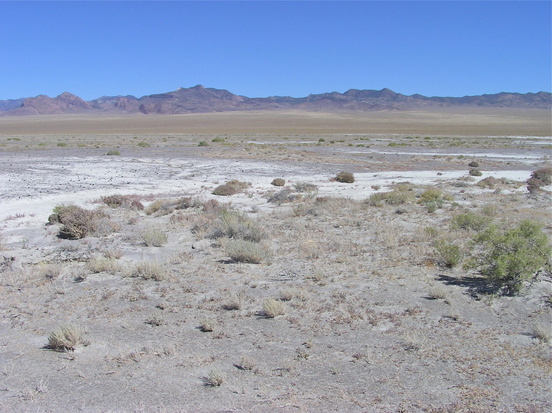 View East (towards the Quinn Canyon Range)