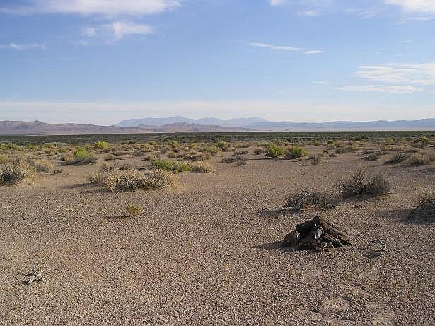 North view (and the cairn)