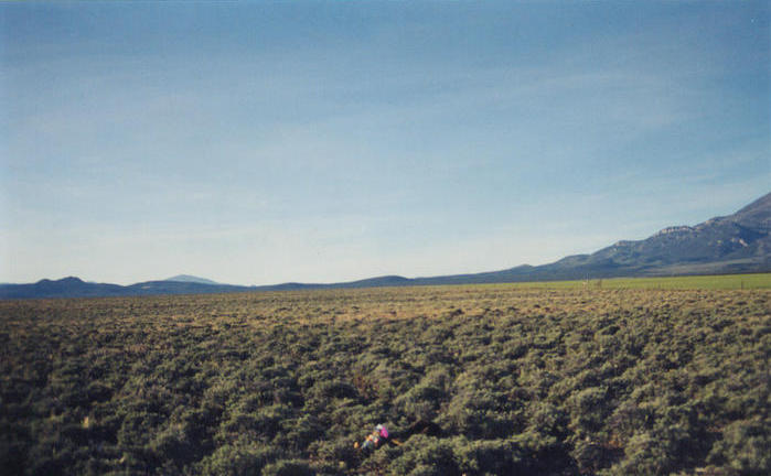 Looking north wih the Egan Range on the right and Dark Peak in the left-center distance.