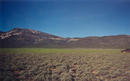 #2: T. McGee Bear facing west at the point with the Egan Range in the background.