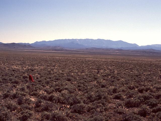 Looking southwest towards Currant Mountain