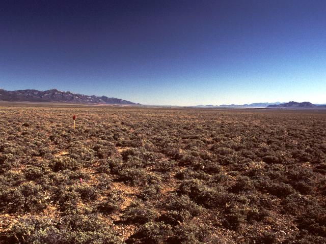 View south down White River Valley