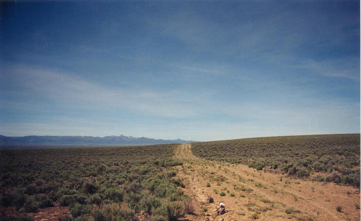 Looking north at the Fish Creek Range.