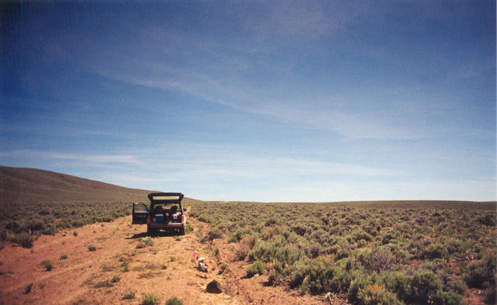 Looking south with the Pancake Range foothills on the left.