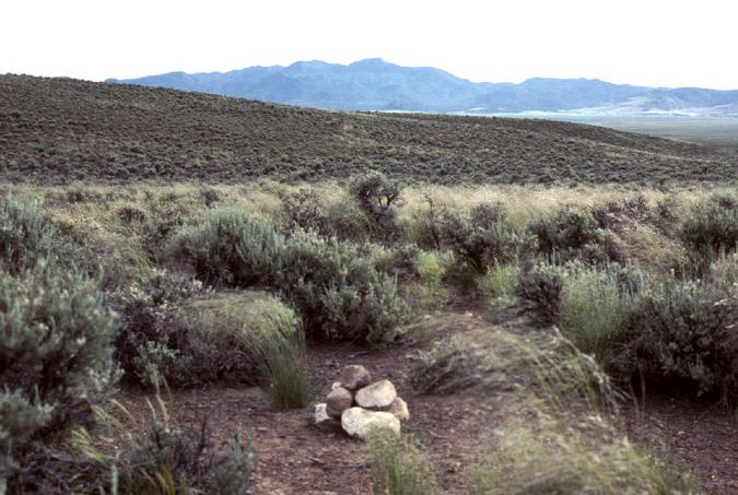 View south (Mahogany Peak)