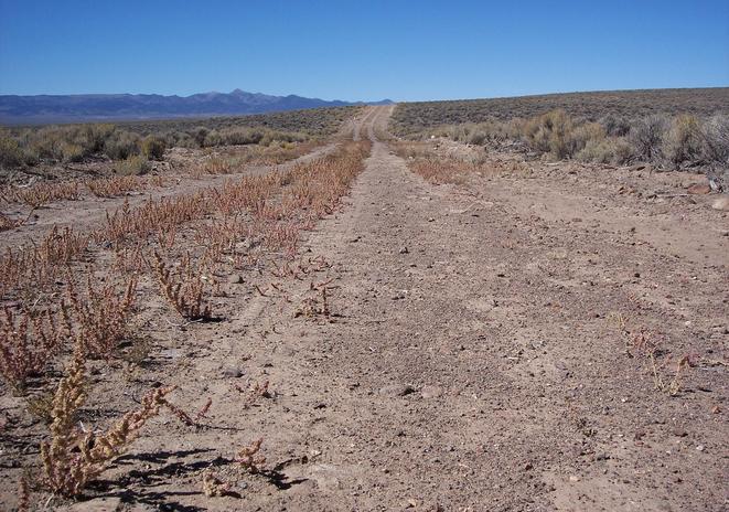 Confluence road