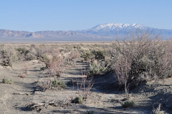 #1: This is as close as I got on this attempt; the confluence point lies about 10 miles away