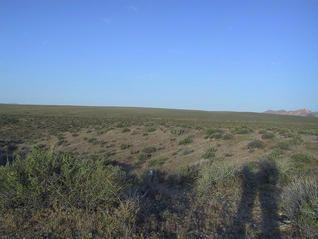 #1: Looking west from the confluence.