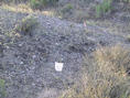 #3: Both flags at the confluence.