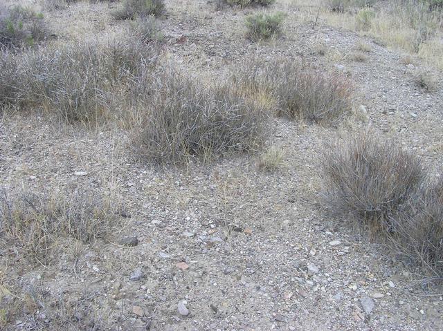 The confluence point - one of the many desert confluences in Nevada