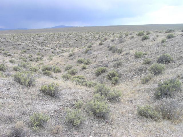 View South (showing the small gully where the confluence point lies)