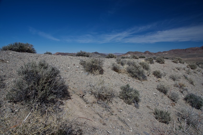 The confluence point lies near the top of this sandy ridge