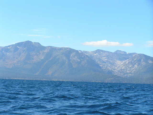 View to the north from the confluence.