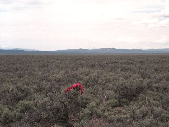 looking northwest across the confluence