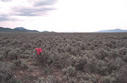 #3: looking southwest down Butte Valley