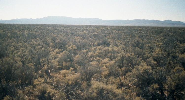 View to the west with the Ruby Mountains in the background.