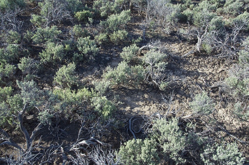 The confluence point lies in a sagebrush-covered desert valley