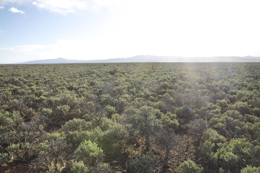 View West (across Butte Valley, into the late-afternoon sun)